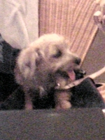 DVC33327.JPG