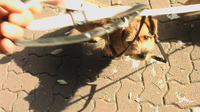 IMGA0058.JPG