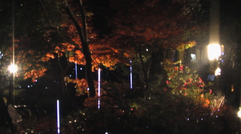 IMGA0285.JPG