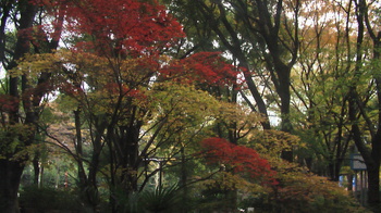 IMGA0438.JPG