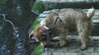 IMGA0482.JPG