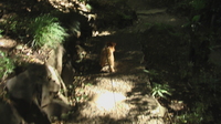 IMGA0489.JPG