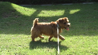 IMGA0718.JPG
