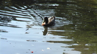 IMGA0993.JPG