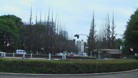 IMGA1223.JPG