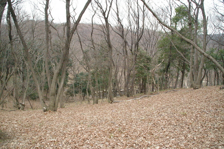 IMGP0064.JPG