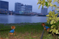 IMGP1658.JPG