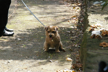 IMGP6047.JPG