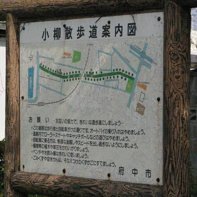 IMGP6618.JPG