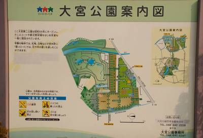 IMGP8250.JPG