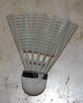 IMGP8582.JPG