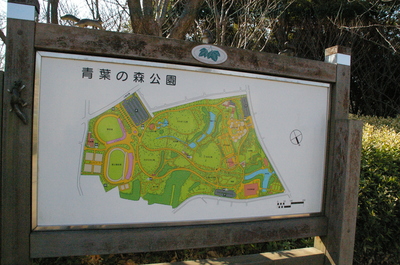 IMGP9125.JPG