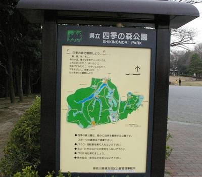 IMGP9986.JPG